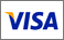 Checkout with Visa